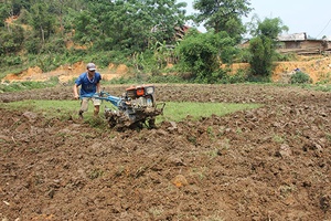 Sông Mã tập trung sản xuất vụ xuân
