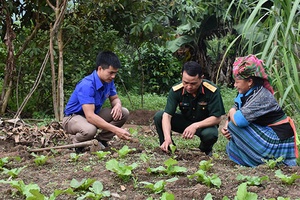 Tết ở  biên cương