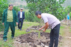 Dấu ấn nổi bật của Cựu chiến binh