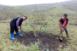 Bản Tà Số 2 có nhiều hộ thu nhập cao từ cây ăn quả