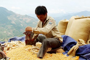 Mang mùa xuân đến hộ nghèo Sông Mã