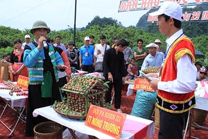 Đẩy mạnh chuyển dịch cơ cấu lao động nông thôn