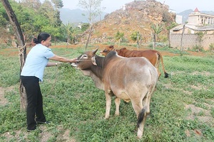 “Trao cần câu thay vì cho con cá”