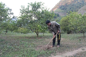 Tạ Bú tập trung tháo gỡ khó khăn trong xây dựng nông thôn mới