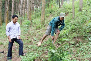 Phiêng Khoài tăng cường phòng cháy, chữa cháy rừng mùa khô hanh