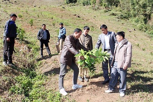 Quan tâm khuyến nông cho đồng bào vùng khó khăn
