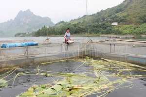 Mường Trai chú trọng công tác xây dựng Đảng