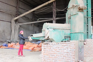 Hội Nông dân xã Tường Thượng giúp hội viên phát triển kinh tế.