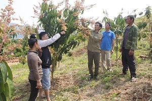 Lóng Phiêng chuyển mình