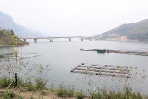 Bứt phá để làm giàu trên quê hương