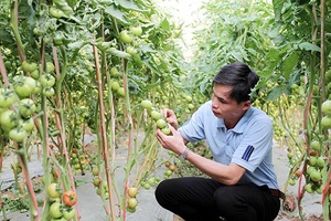 Từ HTX trở thành doanh nghiệp khoa học công nghệ