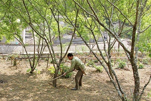 Già làng ở bản Hang Trùng