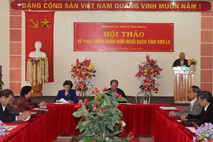 Hội thảo về phát triển chăn nuôi ngựa bạch