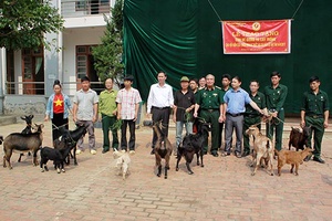Hội Cựu chiến binh tỉnh: Trao dê giống cho hội viên CCB huyện Mường La