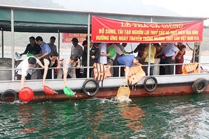 Thả cá giống tái tạo nguồn lợi thủy sản tại Mường La và Sông Mã