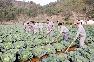 Cơ sở điều trị nghiện ma túy tỉnh: Giúp học viên tái hòa nhập cộng đồng