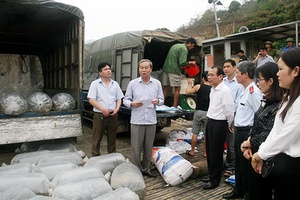 Thả 94.000 con cá giống tái tạo nguồn lợi thủy sản Hồ Hòa Bình