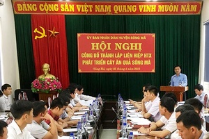 Sông Mã: Công bố thành lập Liên hiệp HTX phát triển cây ăn quả