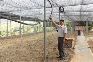 Kinh tế HTX đóng góp tích cực vào phát triển KT, XH của tỉnh