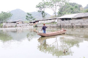 Làm giàu từ mô hình ao - chuồng