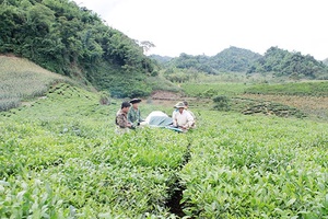 Phiêng Luông xây dựng khối đại đoàn kết toàn dân