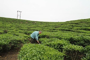 Ký ức ngày giải phóng
