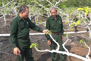 CCB Mai Sơn trong thời kỳ mới