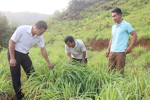 Pi Toong khai thác các nguồn lực xây dựng nông thôn mới