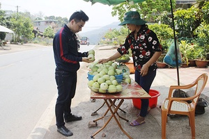 Thơm ngọt dưa Tú Nang