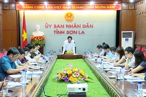 Thường trực UBND tỉnh làm việc với Công ty cổ phần Xi măng Chiềng Sinh