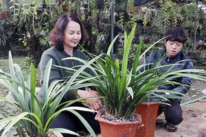 Đẩy mạnh tuyên truyền PBGDPL cho hội viên, nông dân