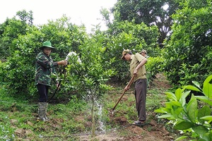 Đổi thay khi nghị quyết đi vào cuộc sống