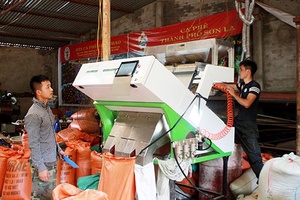 Hỗ trợ nông dân phát triển  sản xuất nông nghiệp