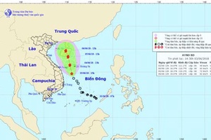 Tích cực chủ động ứng phó với áp thấp nhiệt đới