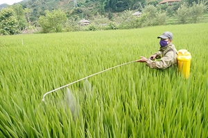 Bản Thạy đoàn kết giúp nhau phát triển kinh tế