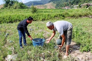 Năng động, gương mẫu trong các phong trào của bản