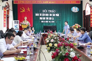 Hội thảo đánh giá cảm quan cho sản phẩm mận hậu tỉnh Sơn La