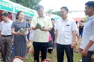 Yên Châu: Khai mạc “Ngày hội xoài Yên Châu năm 2018”