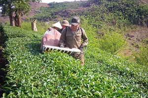 Nông dân xã Tân Lập thi đua sản xuất, kinh doanh giỏi