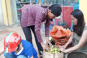 Bắc Yên mùa mắc chai