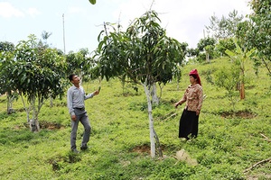 Diện mạo nông thôn mới Dồm Cang