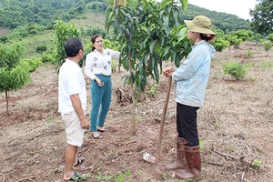 Tú Nang chuyển hướng sản xuất