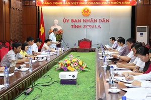 Triển khai kế hoạch tiêu thụ, xuất khẩu xoài đợt 3 niên vụ 2018