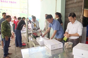 Nhộn nhịp mùa xuất khẩu xoài