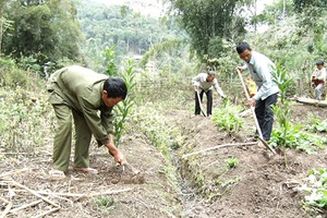 Phong trào sản xuất, kinh doanh giỏi của người cao tuổi Sốp Cộp