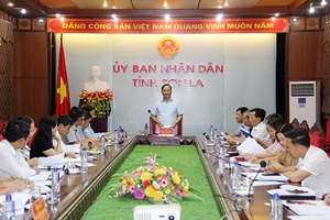 UBND tỉnh làm việc với Công ty TNHH thương mại dịch vụ xuất nhập khẩu Vina T&T chuẩn bị xuất khẩu nhãn sang Mỹ