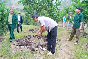 Phát huy hiệu quả nguồn vốn vay ủy thác 