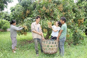 Sông Mã sẵn sàng cho Ngày hội nhãn