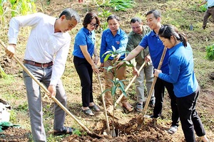 Nhiều hoạt động bổ ích, thiết thực cho thanh, thiếu niên