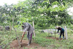 Đảng bộ Quỳnh Nhai: Tập trung lãnh đạo xây dựng nông thôn mới